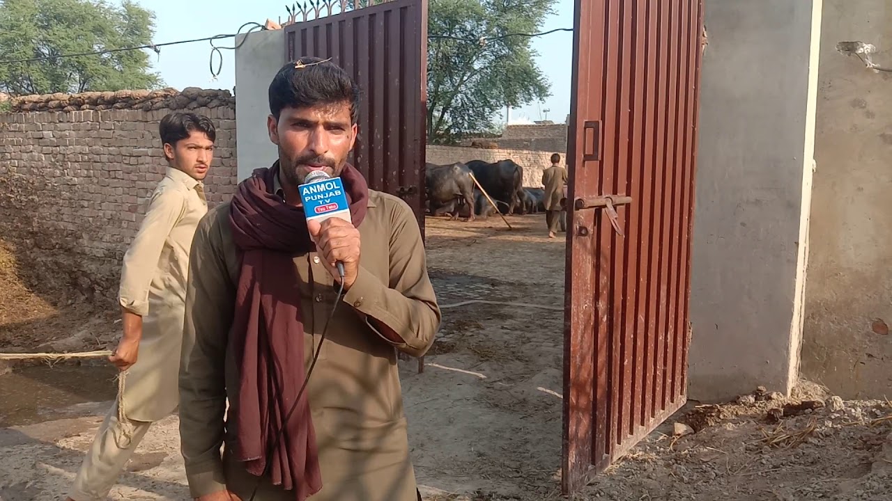 watch subscriber m.amir from chakwal in pakistan on youtube 29-04-2020 ...