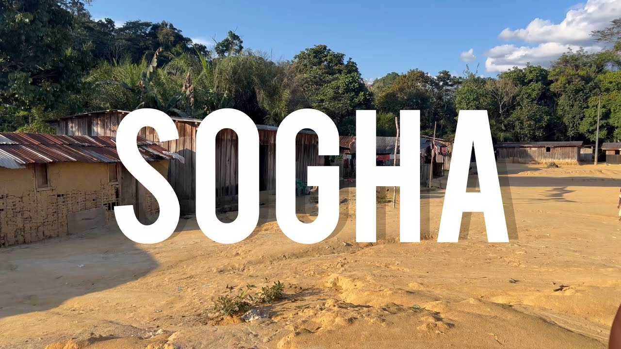Gabon 🇬🇦: SOGHA, il y a quoi là dedans ? Découverte + mission d’identification.