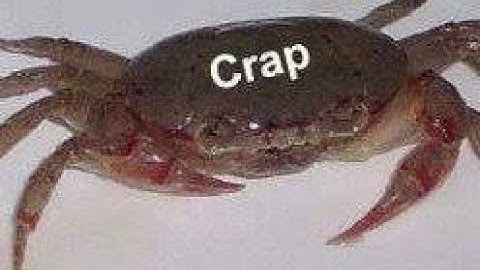 𝐍𝐎𝐍𝐄 ANY 𝐂𝐑𝐀𝐏𝐒#rust #rustgaming