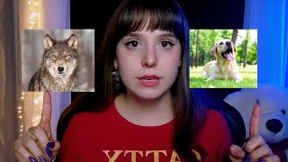 Asmr Teste De Personalidade Rápido