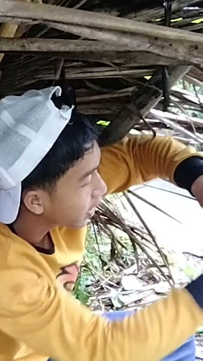 story mancing #story #mancing #mancingliar #mancing #fishing #mancinglobster #mancingmania