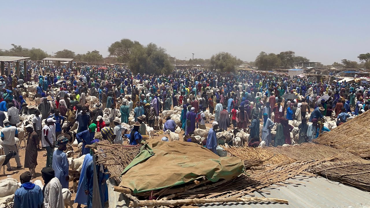 CAP SUR TABASKI LOUMA DAHARA DJOLOF