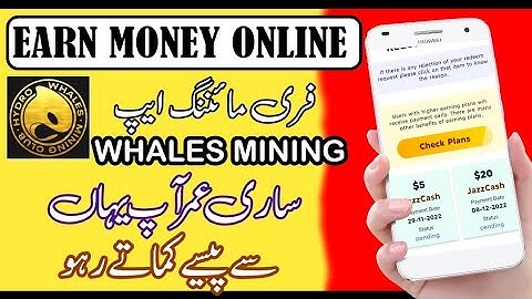 Whales Mining Real Or Fake | Bitcoin Mining Website | Earn Money Without Investment