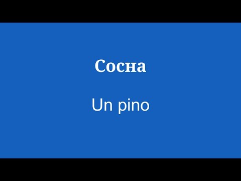 8 минут словарного запаса для изучения испанского языка