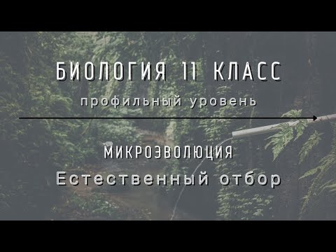 Биология 11 кл Теремов §9 Естественный отбор