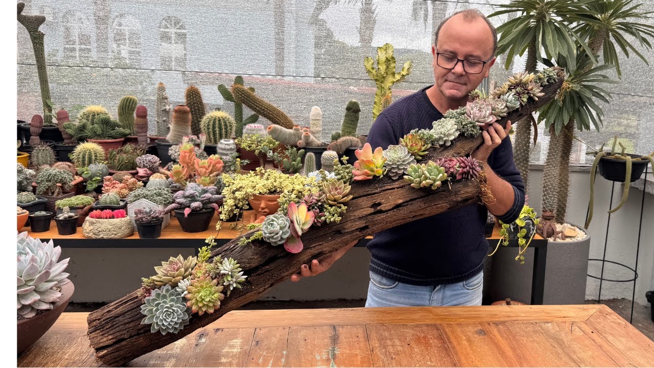 Como Transformar Um Simples Tronco Em Um Jardim Encantador!