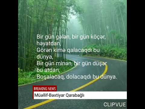 DÜNYA ŞEİRİ