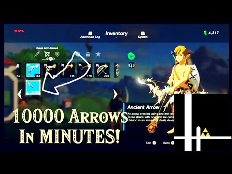 How to get 10000 ARROWS using IST in BotW!