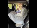 4Knines Dog Backseat Cover with Hammock, Waterproof, washable