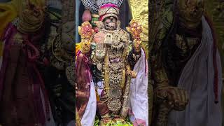 Sri Perarulaalan #vishnu #govinda #shorts #reels #viral #hindudeity #bhaktishorts #devotion #divine
