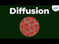 Cell Membrane Dynamics and Molecular Movement