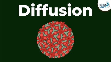 Cell - Diffusion | Don