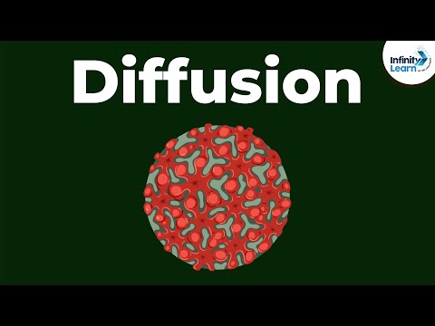 Cell - Diffusion | Don't Memorise