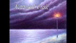 Video thumbnail of "NARWHAL TUSK My Angel"