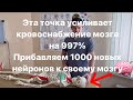 Эта точка на черепе усиливает кровоснабжение мозга на 997% Прибавляем новые нейроны к своему мозгу