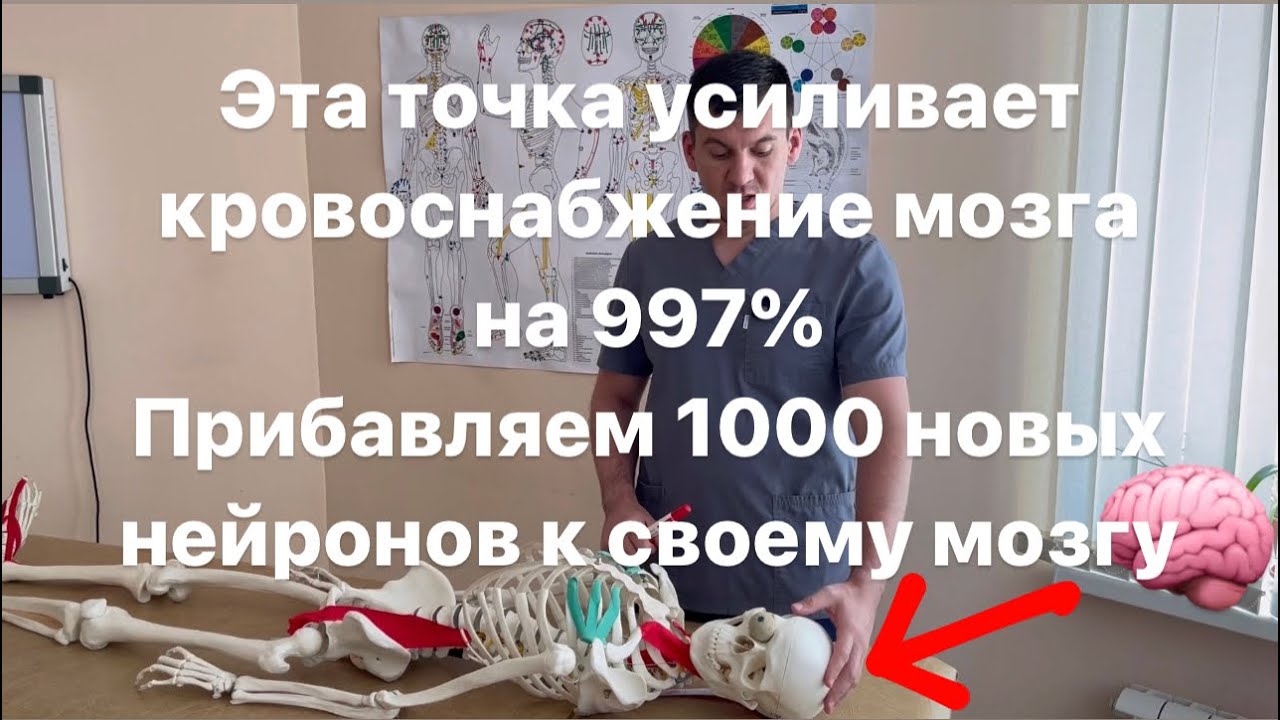 Эта точка на черепе усиливает кровоснабжение мозга на 997% Прибавляем новые нейроны к своему мозгу