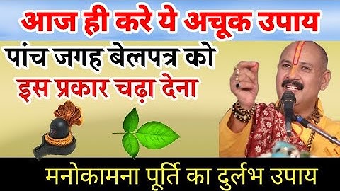 पांच जगह बेलपत्र इस प्रकार चढ़ा देना मनोकामना होगी पूरी। Shri pradeep Mishra ji upay ।।