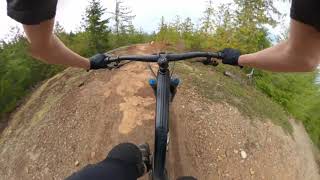 Cupcake With Nolan Weiss