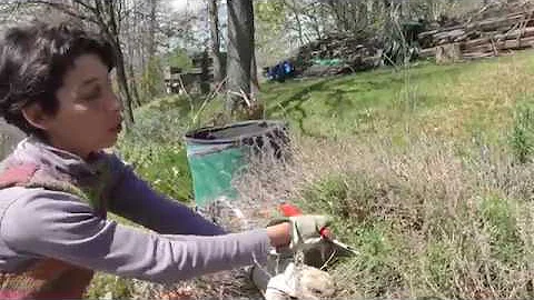Cosa è la Piperna?
