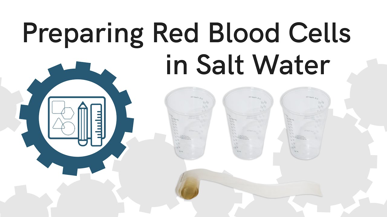 Kit Preparation | Red Blood Cells in Salt Water