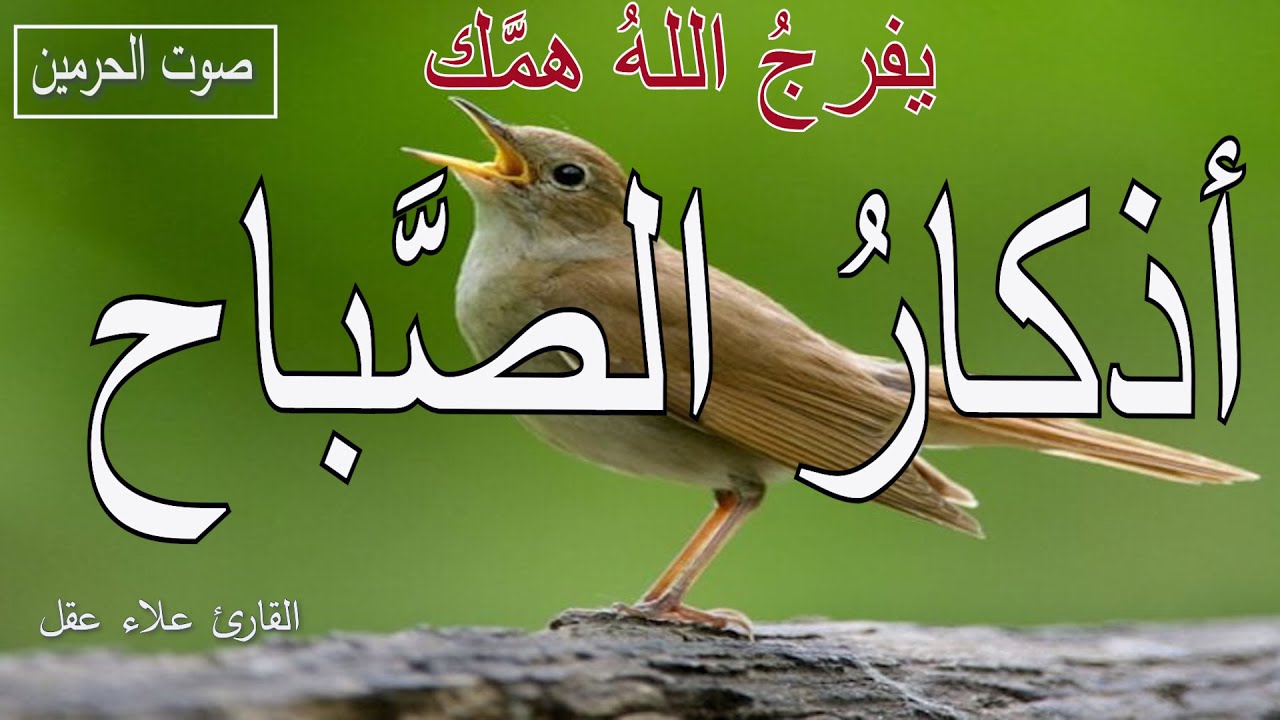 أذكار الصباح  | راحة نفسية لا توصف|  بصوت القارئ علاء عقل | Morning Athkar - Dzkir Pagi