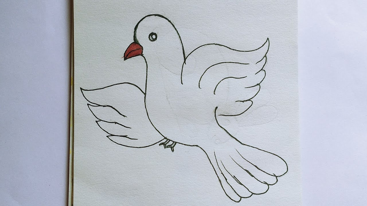How to draw a bird 🕊️ // Bird drawing easy and beautiful