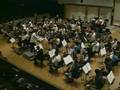 Brahms: Double Concerto, Op. 102 (Part 1) William Molina Cestari. Cello.
