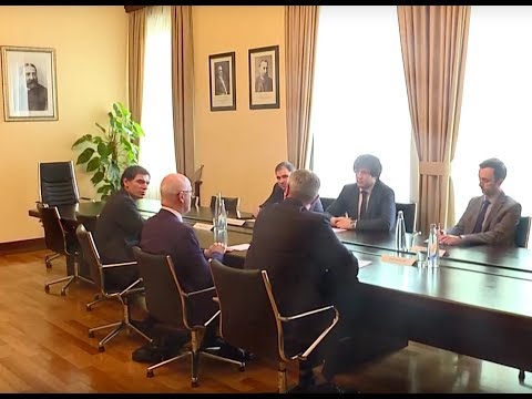 ირაკლი კობახიძის შეხვედრა ევროკავშირის იუსტიციისა და მომხმარებელთა  დირექტორატის წარმომადგენელთან