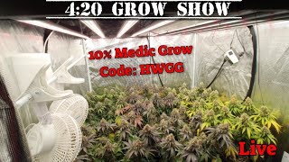 Need help growing ? 🍃  420 Grow Show.  Open panel.