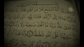 سورة الجن تلاوة مرتلة بصوت الشيخ عبدالهادي أبوعوض #الختمة_المرتلة