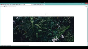 Weebly Episode 3: Password Protecting Page for Free
