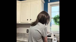 Review On Goehners Steam Cleaner Remove Stains From Mattresses, Cleans Countertops, And Appliances