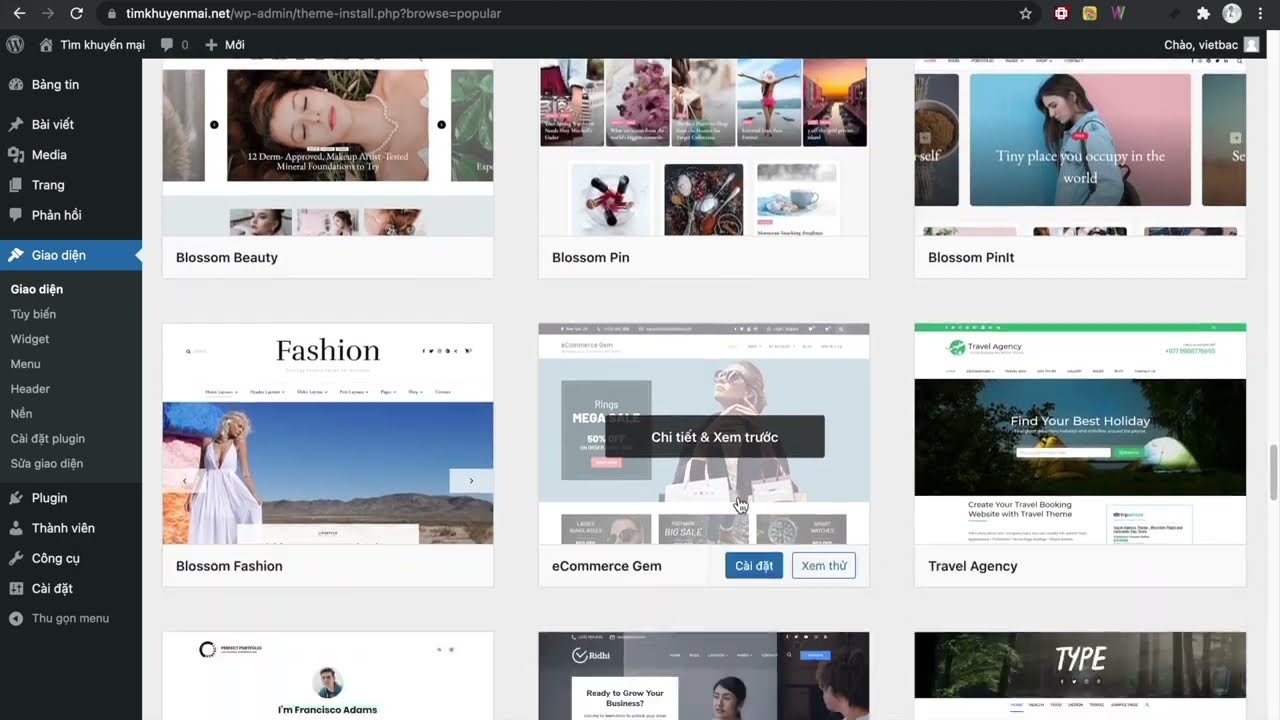 Hướng dẫn cài đặt theme từ kho theme WordPress