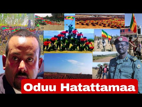 Haleellaa Hidhattootaa Godina Horroo Guduruu Gocha Sukanneessaa Godina Gujii Lixaa Fi Barsiisota