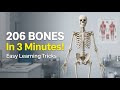 Learn All 206 Bones | Easy Anatomy Tricks &amp; Tips Can You Name All 206 Bones? Learn in Just 3 Minutes