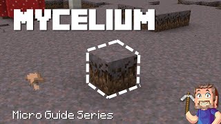 Mycelium - Minecraft Micro Guide