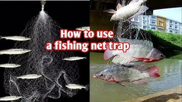 How to use a fishing net trap#fish trap#