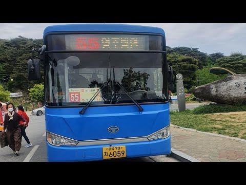 영주 영주여객 55번 [경북약국~감곡1리] 구간 6059호 17년식 NEW BS090 입석 Diesel 주행영상
