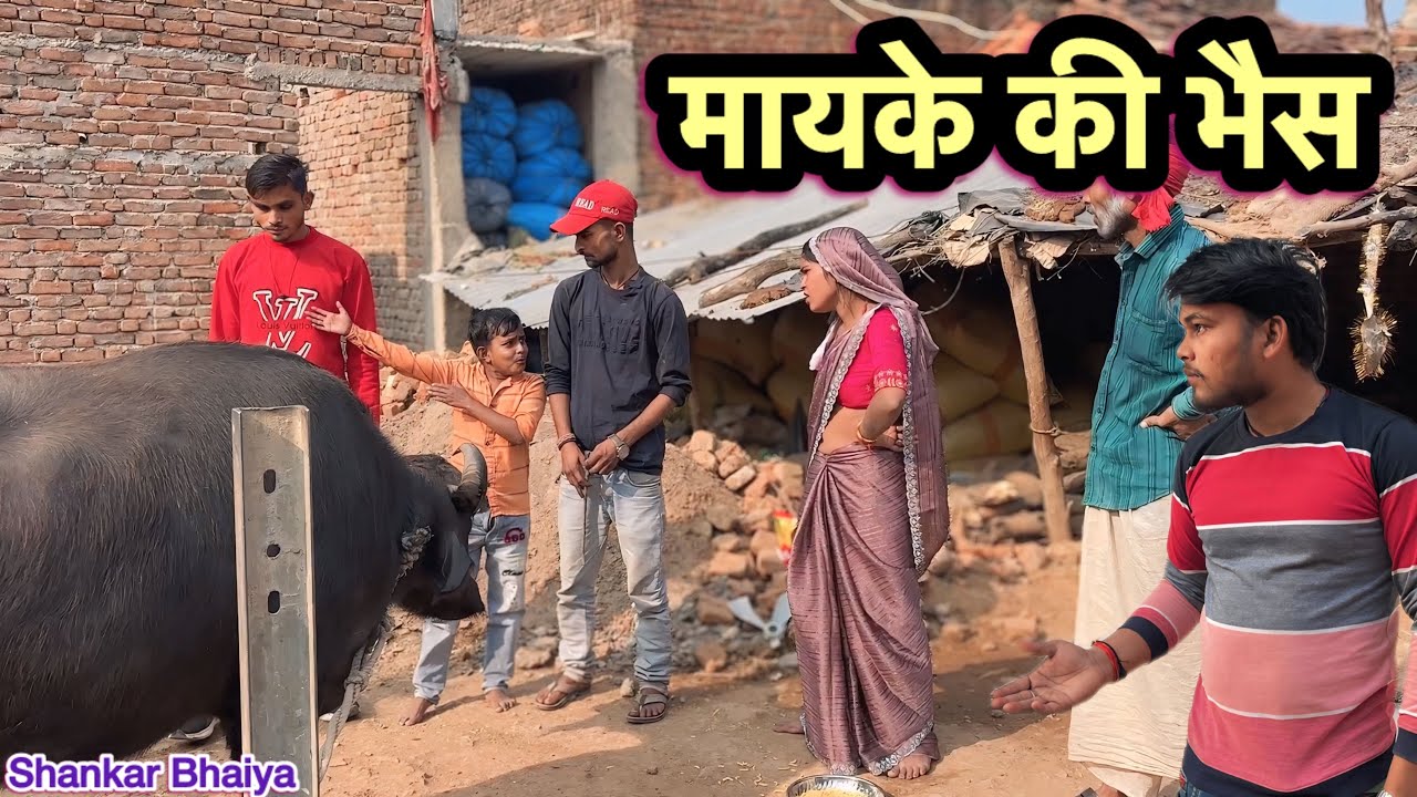 मायके की भैस !! Mayke Ki Bhes !! Shankar Ki Comedy !! Pappu Ki Comedy !! Total Ki Comedy !! Bundeli,