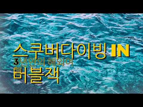 3년만의 세부가족여행 그리고 스쿠버다이빙 IN 버블잭