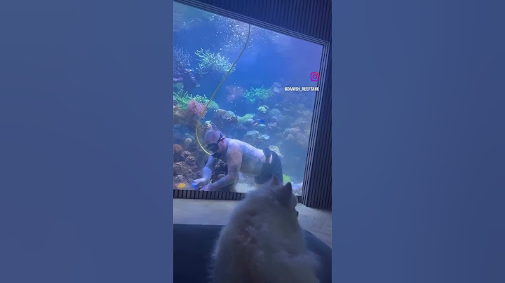 Cleaning day! 🧼 How often do you clean your aquarium? 💬 #goals #aquariumfish #saltwateraquarium