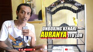 UNBOXING REVIUW KENARI RASMI KUNING MEWAH
