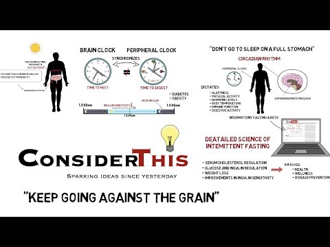 science-behind-intermittent-fasting-and-the-circadian-rhythm-(what-makes-if-healthy)