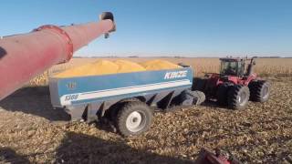 Demaray Harvesting corn harvest 2016