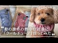 【犬グッズレビュー】夏の散歩の熱中症対策に「クールチューブ」買ってみた