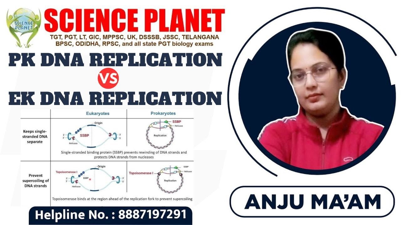PROKARYOTIC & EUKARYOTIC DNA REPLICATION II DIFFERENCE II BY ANJU MAM