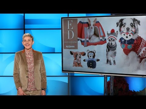 Video: 505 pavadinimai puikiai tinka labradoro šunims