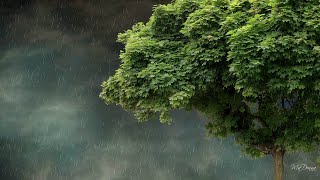 Full August 10th,2020 Cedar Rapids IA Derecho Guide