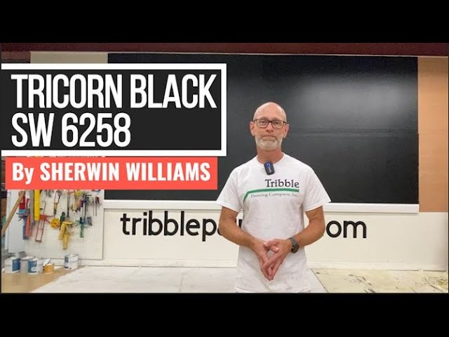 Tricorn Black SW 6258 by Sherwin Williams