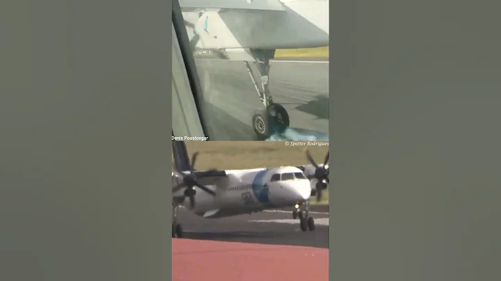 Dash 8 Q400 Multi Camera Landing #shorts #aviation #airplane